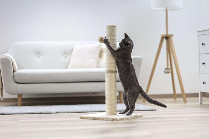 KERBL Kratzsäule Opal Maxi